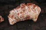 Gre 54*21*28cm